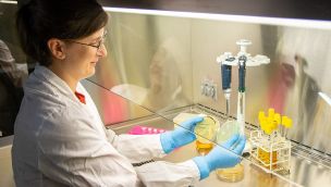Todos los detalles de la superbacteria que degrada el plástico y es un riesgo para los pacientes hospitalizados.