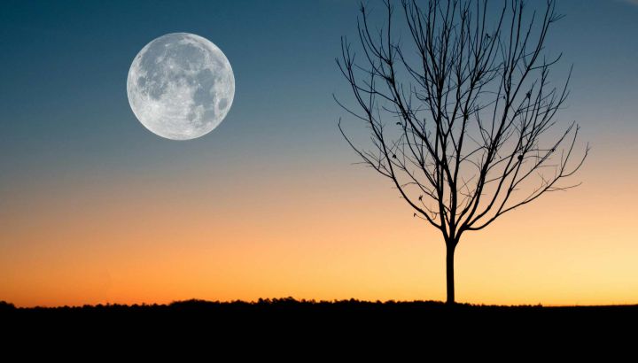 Luna llena en Escorpio y martes 13: una combinación intensa para transformar (o soltar)