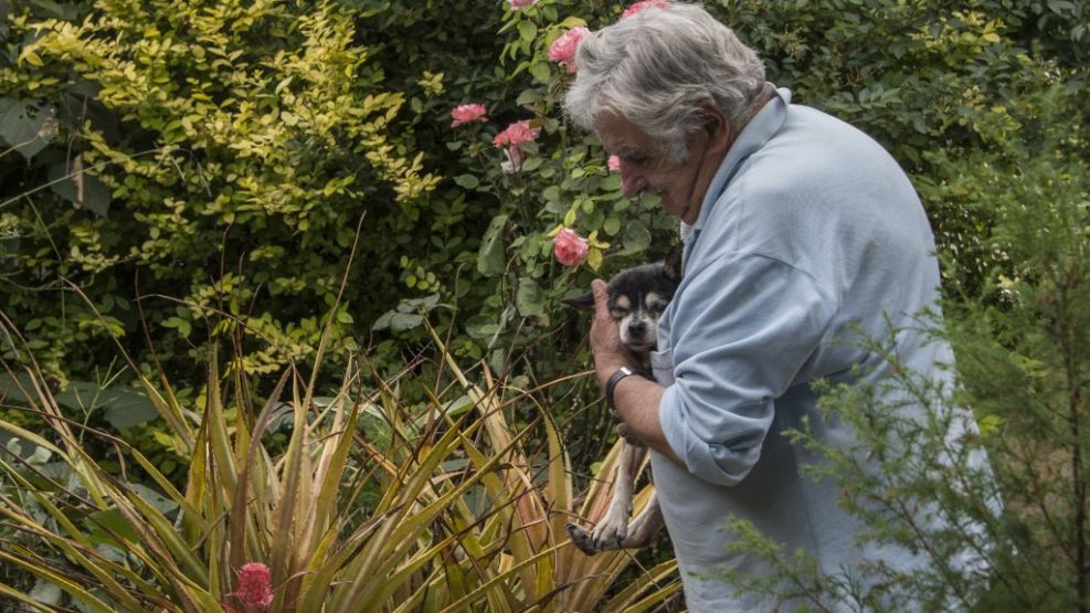 José "Pepe" Mujica