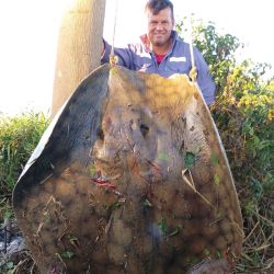 Tardaron casi 9 horas en sacar una verdadera bestia de las aguas del río, en islas cercanas a Colonia Teresa. Se trata de un ejemplar gigante, que sorprendió a los pescadores.
