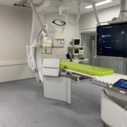 “Área Neuroprotegida”: el nuevo modelo que puede salvar cerebros | Foto:CEDOC