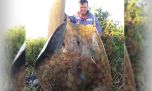 Capturan una imponente raya de más de 150 kilos en el río San Javier