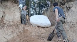 1405_mastodonte