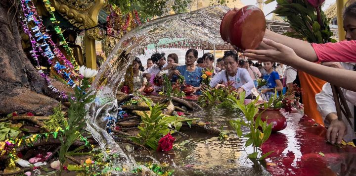 Los devotos vierten agua sobre un venerado árbol Bodhi en la Pagoda Shwedagon para conmemorar el cumpleaños de Buda, que cae el día de la luna llena de Kasone, en Yangon, Myanmar.