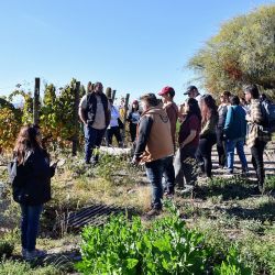 La Rioja tiene novedades turísticas para recibir a los viajeros.