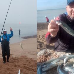 La actividad se da cerca, los lanzamientos deben ser cortos, en marea alta, a unos 20 m el pique está firme, mientras que, en el agua baja, los lances deben superar los 50 m para mantener la efectividad en los piques.