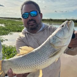 La pesca se está dando con anzuelos offset emplomados, sobre los que se colocan distintas gomas como pueden ser las Rana Rubí, los Gozio Falix o ratitas de goma.