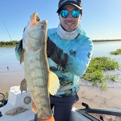 La pesca se está dando con anzuelos offset emplomados, sobre los que se colocan distintas gomas como pueden ser las Rana Rubí, los Gozio Falix o ratitas de goma.