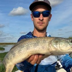 La pesca se está dando con anzuelos offset emplomados, sobre los que se colocan distintas gomas como pueden ser las Rana Rubí, los Gozio Falix o ratitas de goma.
