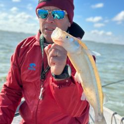 Es clave llamar al club antes de viajar en caso de lluvia, el camino se pone muy complicado y la idea es cuidarlo. Si llueve, el club no abre.