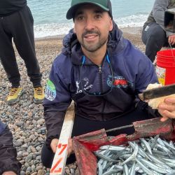 Martino capturó en solo siete minutos, 54 piezas, una cantidad asombrosa que se da por la experiencia y práctica. Son alrededor de tres tiros por minuto, lo que hace pensar en la posibilidad de sacar más de 300 ejemplares por hora. 
