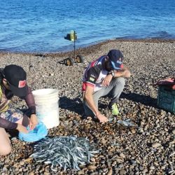Martino capturó en solo siete minutos, 54 piezas, una cantidad asombrosa que se da por la experiencia y práctica. Son alrededor de tres tiros por minuto, lo que hace pensar en la posibilidad de sacar más de 300 ejemplares por hora. 