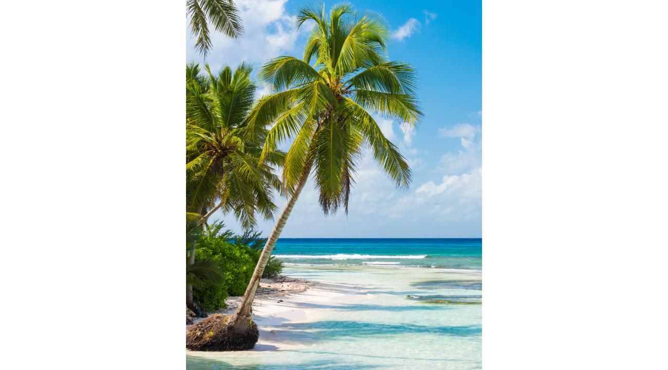 "Descubre los Mejores Destinos Turísticos de República Dominicana con Quinteros Viajes".