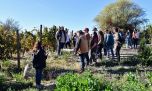 La Rioja: nueva web para el visitante y bus turístico temático 