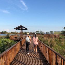 Colonia Carlos Pellegrini.