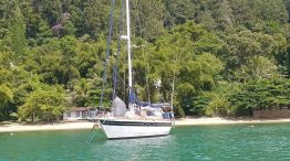 0516_alamazonas