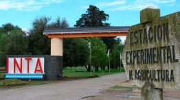 inta-manfredi-cordoba