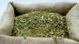 Yerba Mate