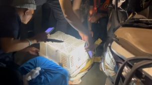 Los animales fueron rescatados.