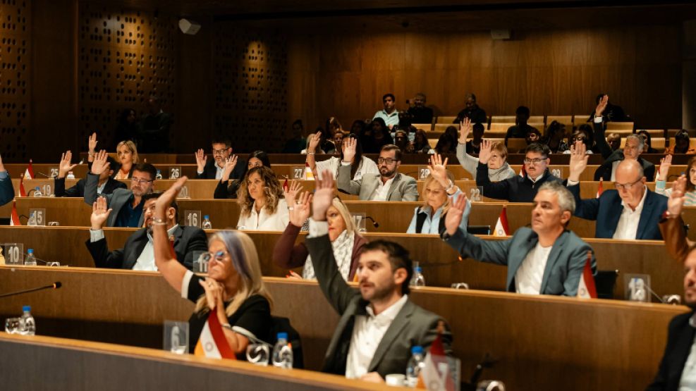 concejo deliberante ficha limpia