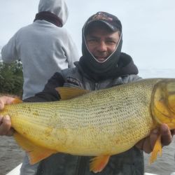 La pesca se realizó con carnada por el agua turbia que impedía los intentos con artificiales.