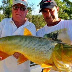 La pesca se realizó con carnada por el agua turbia que impedía los intentos con artificiales.