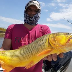 La pesca se realizó con carnada por el agua turbia que impedía los intentos con artificiales.