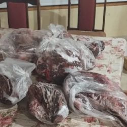 Encontraron más de 1.500 kilos de carne faenada.
