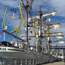 El buque escuela de la Armada de México que impactó el Puente de Brooklyn se encuentra amarrado en el bajo Manhattan en la ciudad de Nueva York. Dos personas murieron y otras 19 resultaron heridas después de que un buque escuela de la Armada de México impactara el Puente de Brooklyn, informó el alcalde de la ciudad de Nueva York, Eric Adams. | Foto:ANA FERNÁNDEZ / AFP