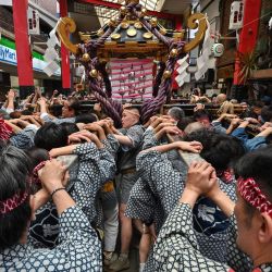 Los participantes portan un santuario portátil o "mikoshi" durante el Festival anual Sanja Matsuri en el distrito de Asakusa, Tokio. Miles de personas acudieron al distrito de Asakusa, Tokio, durante el festival anual de tres días, que anuncia la llegada del verano a la capital japonesa. | Foto:Richard A. Brooks / AFP