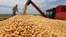 Estiman que Argentina tendrá la segunda cosecha de granos más alta de su historia.