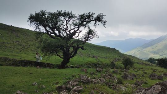 De Argentina a Perú comunidades rurales restauran los Andes y enfrentan la crisis climática desde el territorio