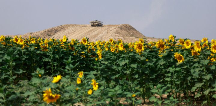 Un tanque israelí se posiciona en un montículo más allá de un campo de girasoles con vistas a la frontera con la Franja de Gaza.