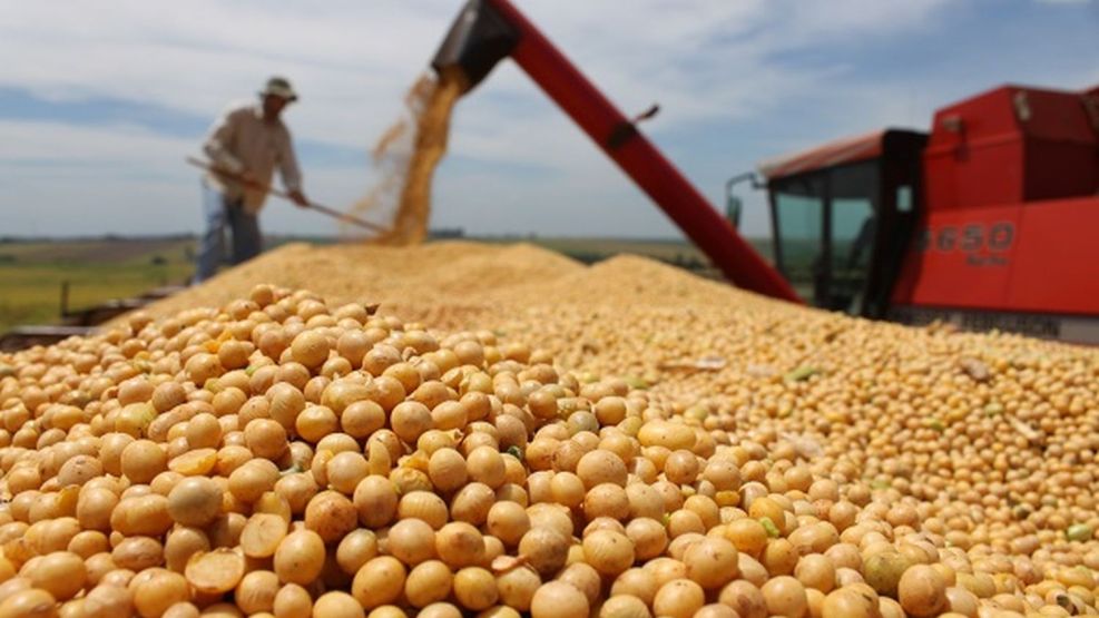 Estiman que Argentina tendrá la segunda cosecha de granos más alta de su historia.