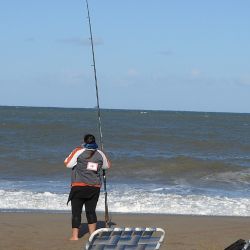 Notable es el crecimiento de las damas en la pesca deportiva, siendo cada vez más las que disfrutan de la actividad en la costa de ríos, lagos, lagunas y el litoral marítimo. 