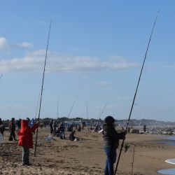 Notable es el crecimiento de las damas en la pesca deportiva, siendo cada vez más las que disfrutan de la actividad en la costa de ríos, lagos, lagunas y el litoral marítimo. 