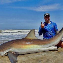 Importantes tiburones bacotas y escalandrunes fueron marcados en los últimos años en el área Mar Chiquita - Mar del Plata