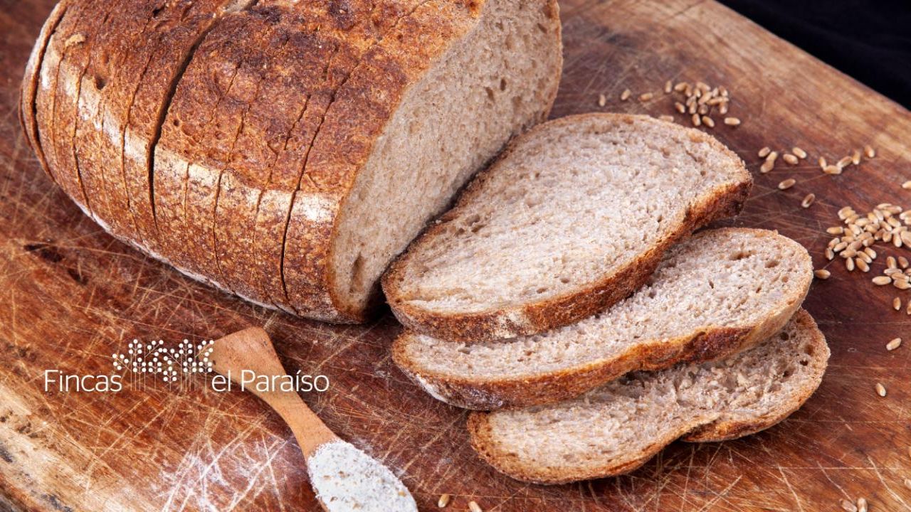 Fincas El Paraíso lanza su línea de panificados agroecológicos | Foto:CEDOC