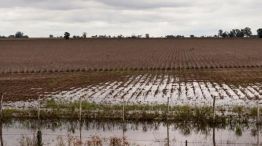 Crisis hídrica en 9 de Julio: "Pedimos a la provincia que reaccione"