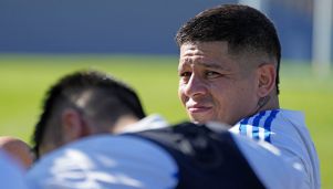 Rojo entrenando