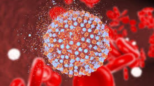 Crecen los casos de hepatitis A en Argentina y detectan circ