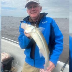 La pesca se da tanto anclados en las bahías como gareteando con brazoladas bien cortas, no más de 10 cm, una profundidad que permite disfrutar de verdaderas explosiones en el agua cuando se dan los piques. 