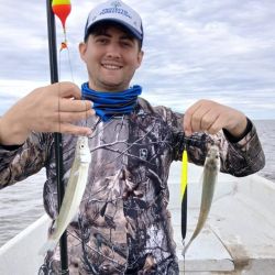 La pesca se da tanto anclados en las bahías como gareteando con brazoladas bien cortas, no más de 10 cm, una profundidad que permite disfrutar de verdaderas explosiones en el agua cuando se dan los piques. 