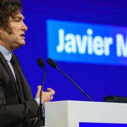 President Javier Milei appears at the AmCham Summit in Buenos Aires.