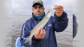 La pesca se da tanto anclados en las bahías como gareteando con brazoladas bien cortas, no más de 10 cm, una profundidad que permite disfrutar de verdaderas explosiones en el agua cuando se dan los piques.