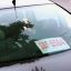 Milei’s cuts have Argentines driving new cars with paper licence plates