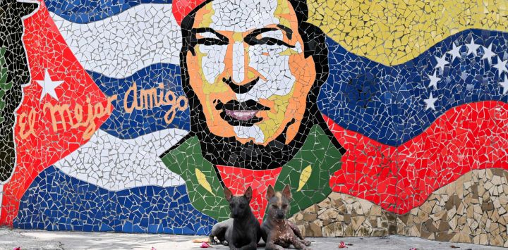 Dos perros descansan frente a una obra de arte del artista cubano José Fuster, que representa al fallecido presidente venezolano Hugo Chávez, en el pueblo costero de Jaimanitas, a las afueras de La Habana, Cuba.