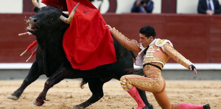 El matador español Alejandro Talavante realiza un pase con la muleta al toro durante una corrida de toros del festival de San Isidro en la plaza de toros de Las Ventas en Madrid.