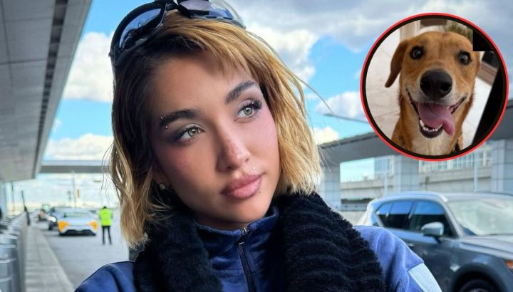 El conmovedor gesto de María Becerra con los perros rescatados tras el fuerte temporal en Buenos Aires
