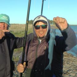 La laguna sufrió una importante mortandad en el verano, aunque no afectó a toda la población del ámbito. (Foto: Omar Calafate).